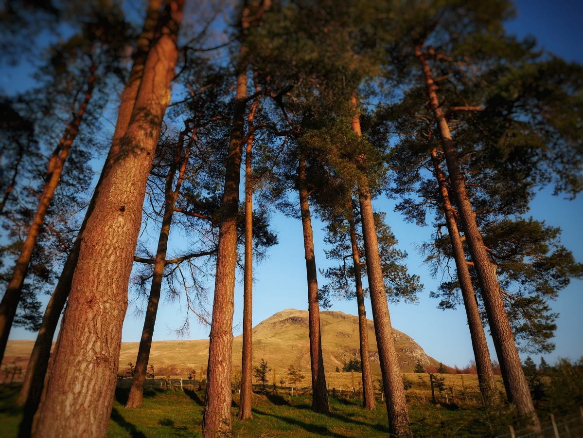 S2 Dumgoyne Hill