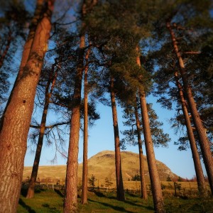 S2 Dumgoyne Hill