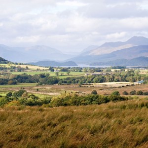 S2 Ben Lomond view