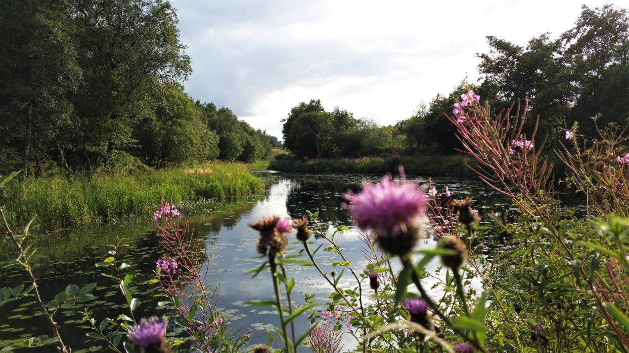 S3 Canal approaching Kilsyth