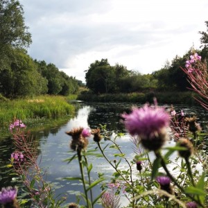 S3 Canal approaching Kilsyth