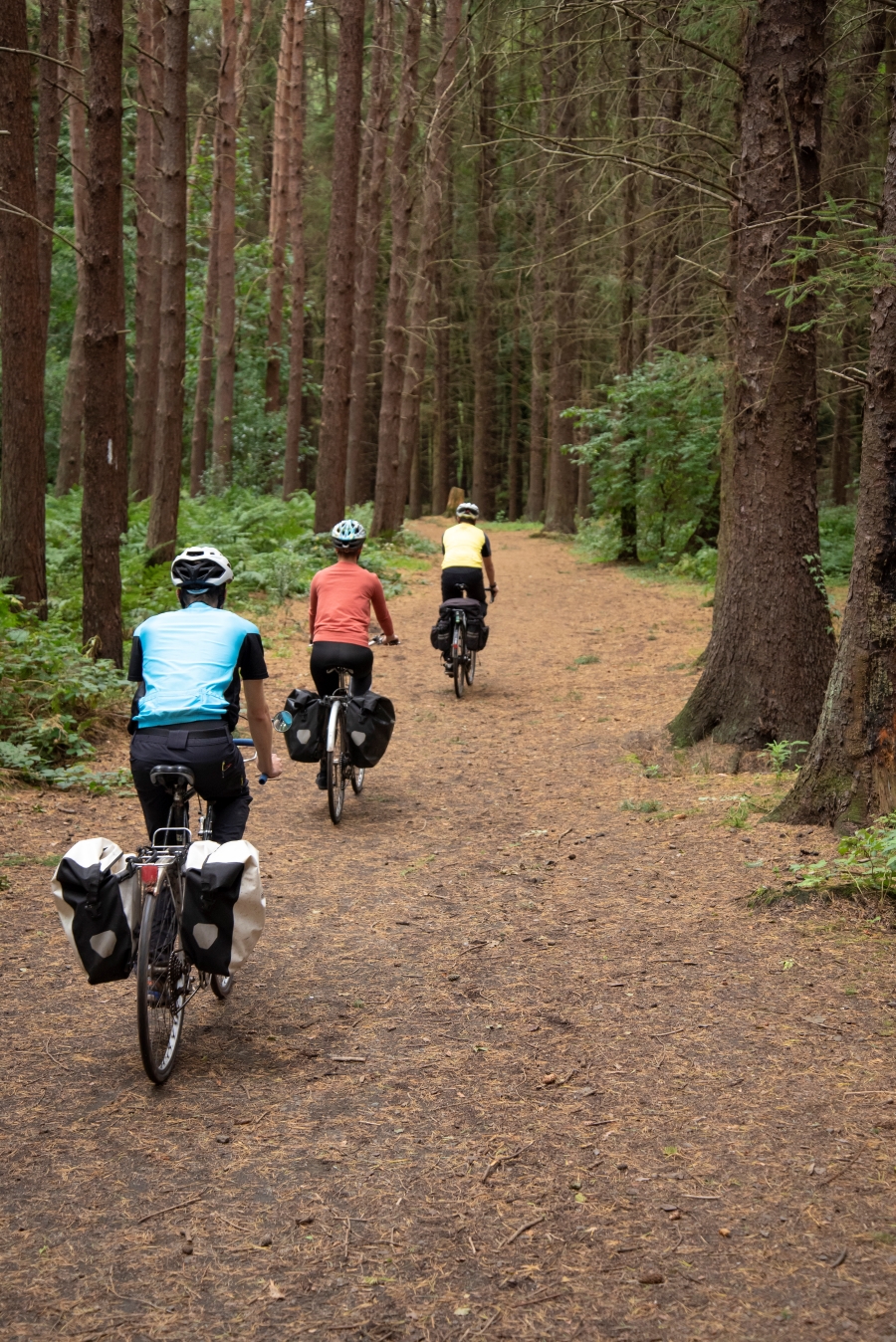 S6 Kinneil wood cyclists