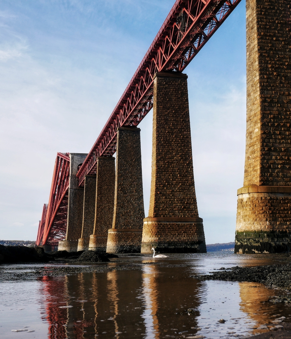 S6 Forth Bridge swan