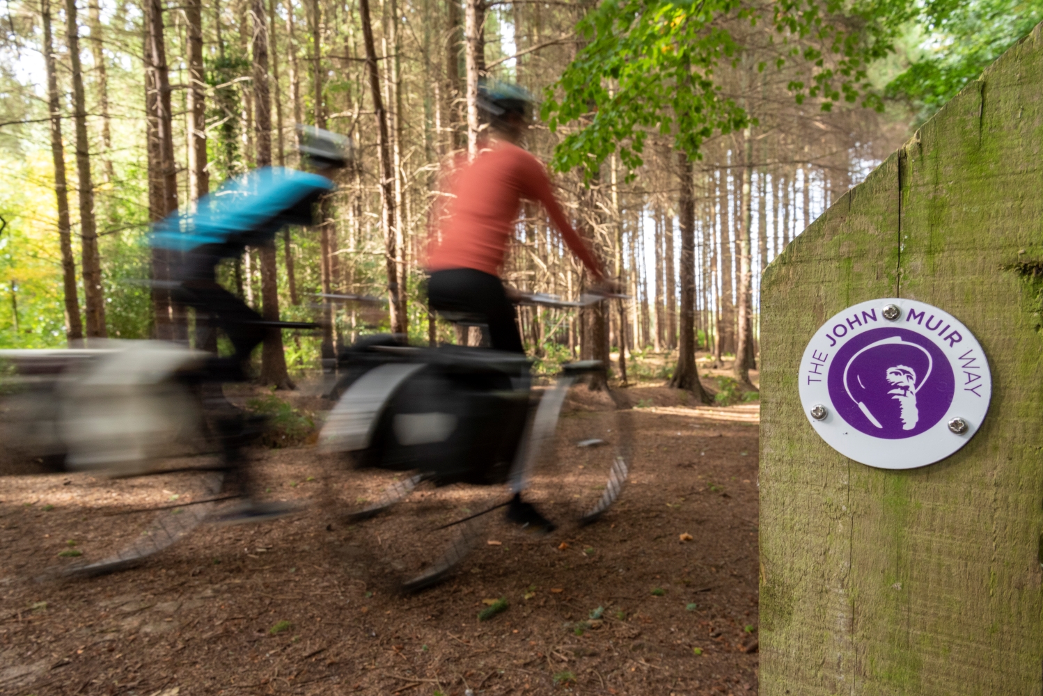 S6 Kinneil wood waymarker